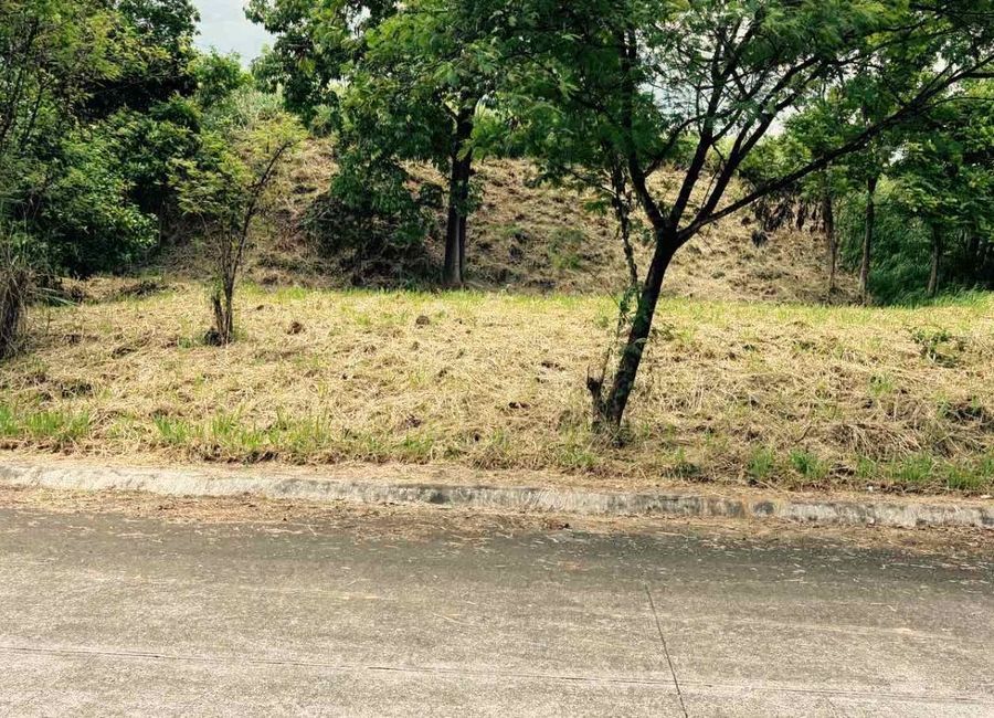 Parkridge Drive, Park Ridge, Santa Cruz, Antipolo, Rizal