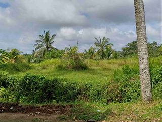 di jual tanah cantik dan strategis  link vila