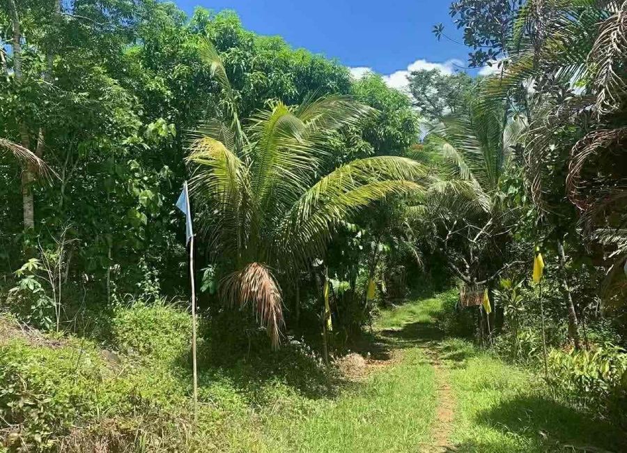Madilay-dilay, Santa Maria, Laguna image 3