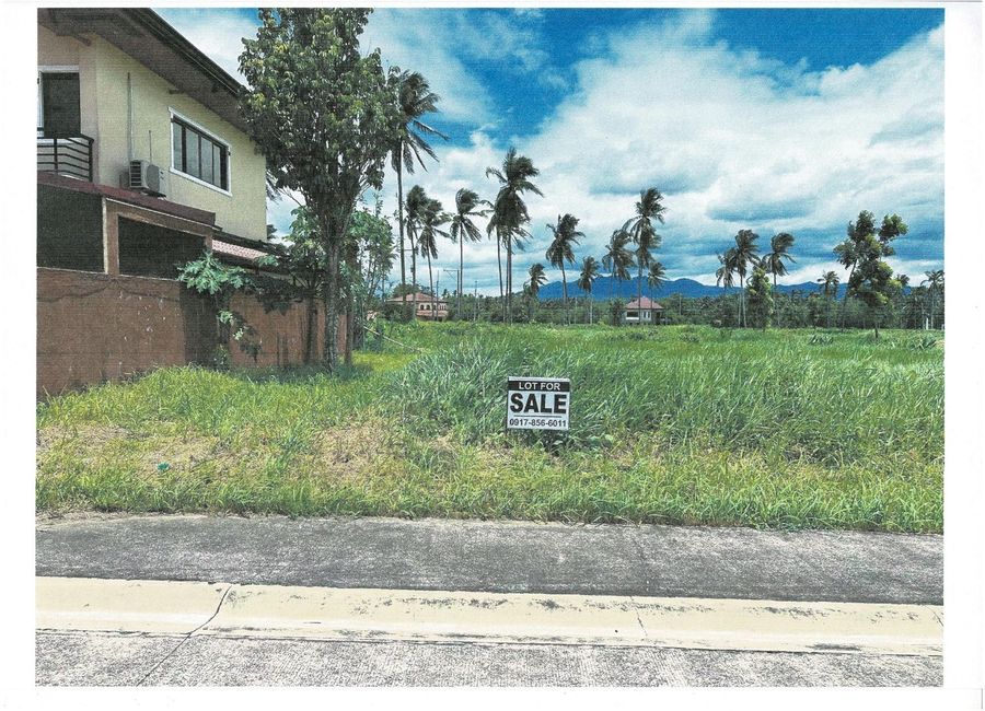Santa Elena, San Pablo, Laguna