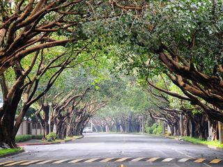 Makati City Exclusive Residential Lot for Sale Dasmariñas Village | PRICED DROP!