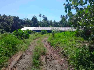 DIJUAL CEPAT TANAH PLUS KANDANG AYAM DAERAH MINUT, HARGA SANGAT MURAH