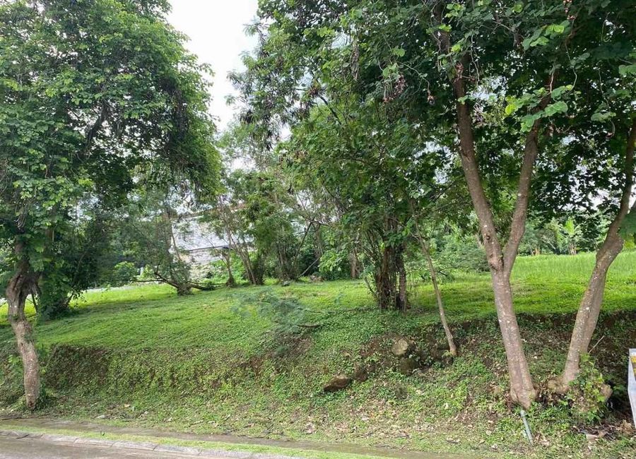 Chipeco Avenue Extension, Real, Calamba, Laguna