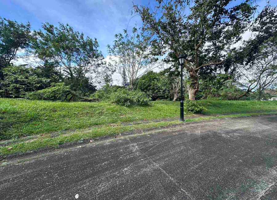 Spine Road, Ayala Greenfield Estates, Maunong, Calamba, Laguna