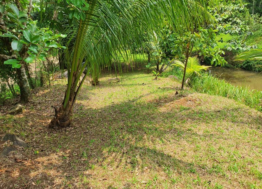 Papatahan, Paete, Laguna