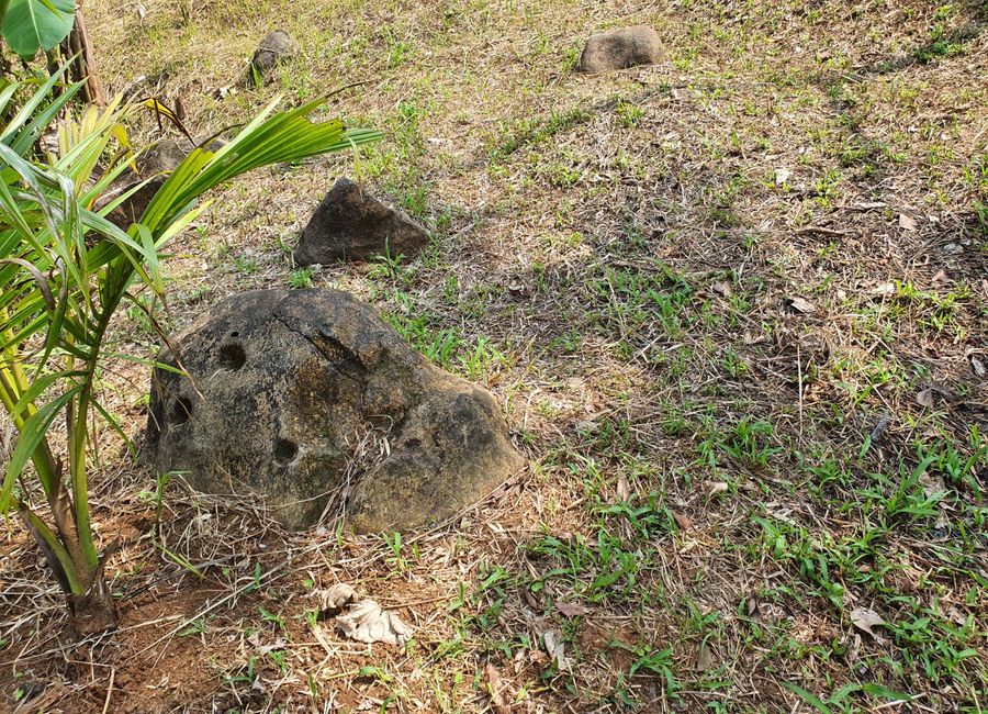 Papatahan, Paete, Laguna image 2