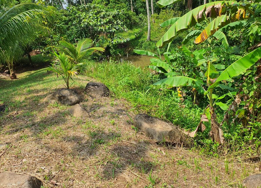 Papatahan, Paete, Laguna image 3