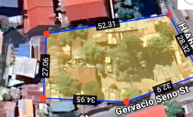 Mandaue Lot for Sale