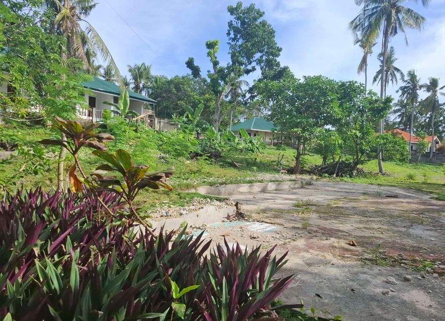 place photo 16