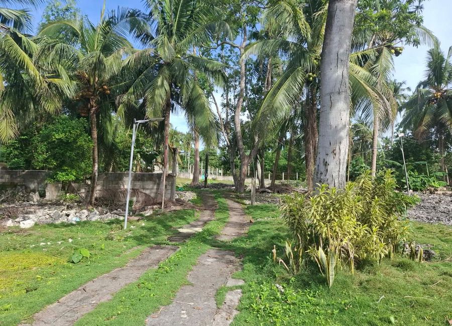 place photo 22