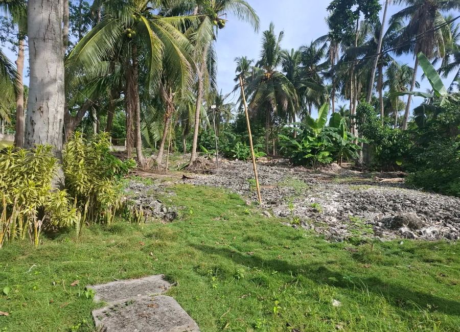 place photo 23