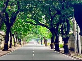 Lot For Sale Prime Vacant Lot New Manila Quezon City