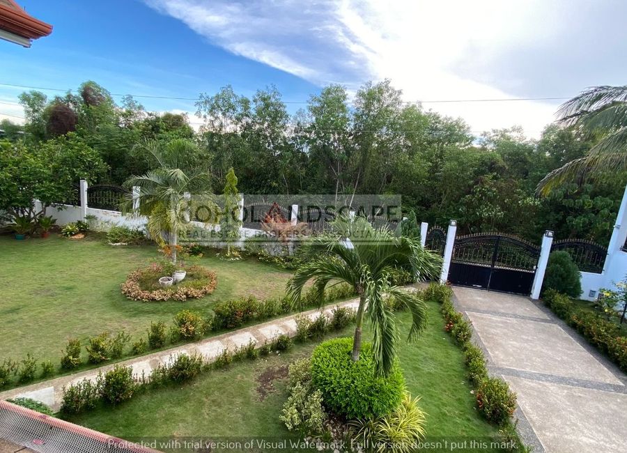 place photo 20