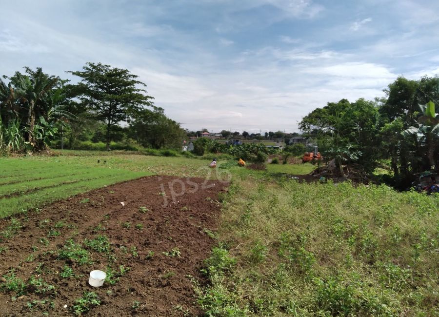 480 m2 lot in Springville Heights, Molino 7, Bacoor City | Lamudi.com.ph