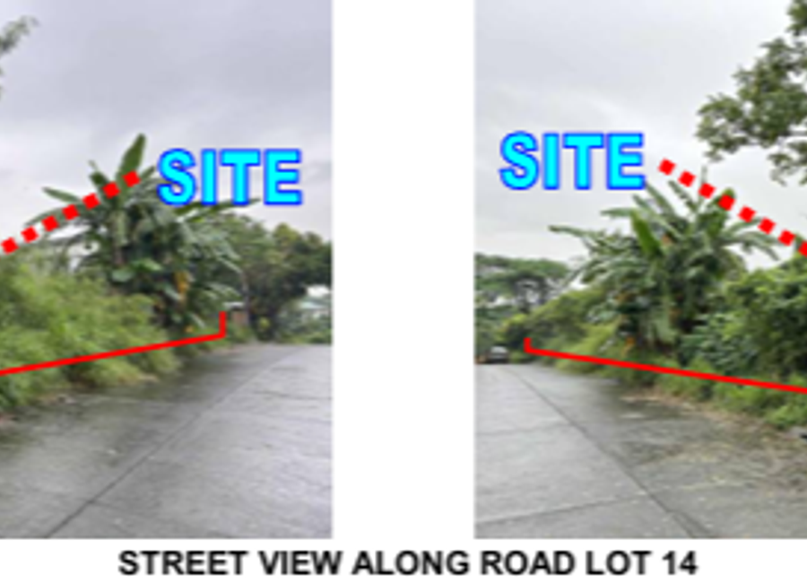 480 m2 lot in Springville Heights, Molino 7, Bacoor City | Lamudi.com.ph