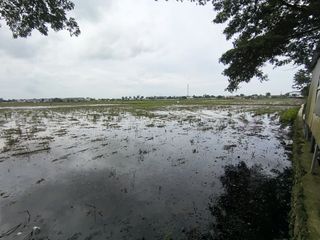 Disewakan Lahan Kosong Luas – Sepatan, Kabupaten Tangerang