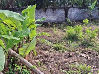 for  freehold or leasehold 
Located on Jalan Camplung tanduk 
GANG bunga kecil Seminyak