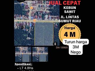 Lahan Sawit Produktif Butuh Segera Terjual