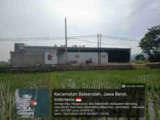 Kesempatan emas dan terbatas siapa cepat dia dapat