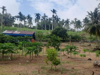 Dijual Kebun Buah yang masih aktif ditanami