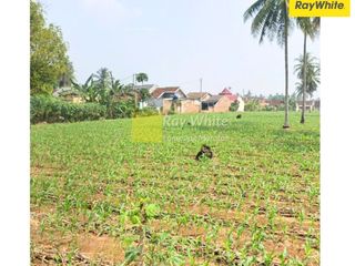 dijual tanah di gedong tataan. pesawaran (kode ALN 3439)