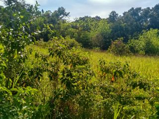 For Sale 9 hectares Coron Palawan