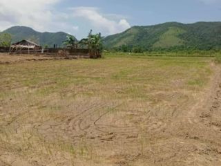 For Sale 1 Hectare Coron Palawan