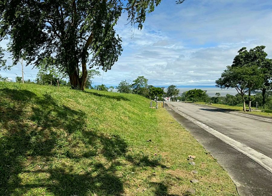 Spine Road, Ayala Greenfield Estates, Maunong, Calamba, Laguna image 2