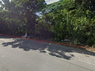 Commercial Lot in San Pedro Laguna near SLEX Exit