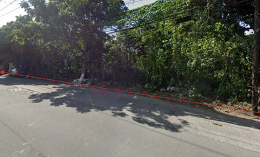 Commercial Lot in San Pedro Laguna near SLEX Exit