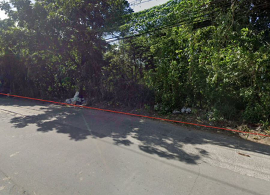 Maligaya Street, United San Pedro Subdivision, San Antonio, Sitio Maharlika, San Pedro, Laguna