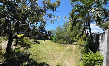 Lot for sale ideal for pocket subd   2,324 sqm  in Cubacub Mandue City