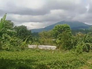 Dijual Tanah Cocok untuk Agrowisata atau Investasi Jangka Panjang di Cidahu Sukabumi