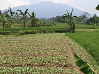 Dijual Tanah Murah View Gunung Salak, Cocok Untuk Wisata di Cidahu Sukabumi