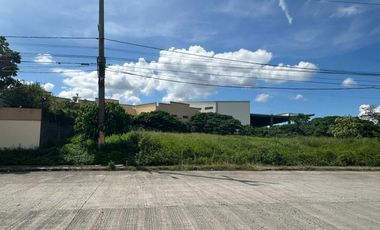 Industrial Lot on a main road of an Industrial Park in Cavite