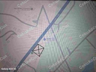 Commercial Lot in Naga Cebu
