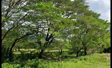 Rush Sale!!! Agricultural land