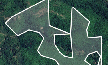 LOT FOR SALE IN TUBOD, TOLEDO, CEBU - LA 175, 932 SQM
