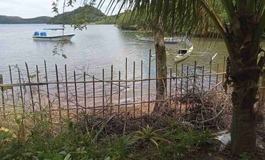 Beachfront with Overlooking Property Coron Palawan