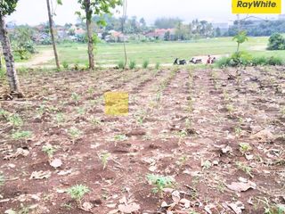 Dijual Tanah do Natar, Haijmena, Lampung Selatan (Kode JX : 3452)