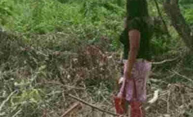 Busuanga Overlooking Property For Sale