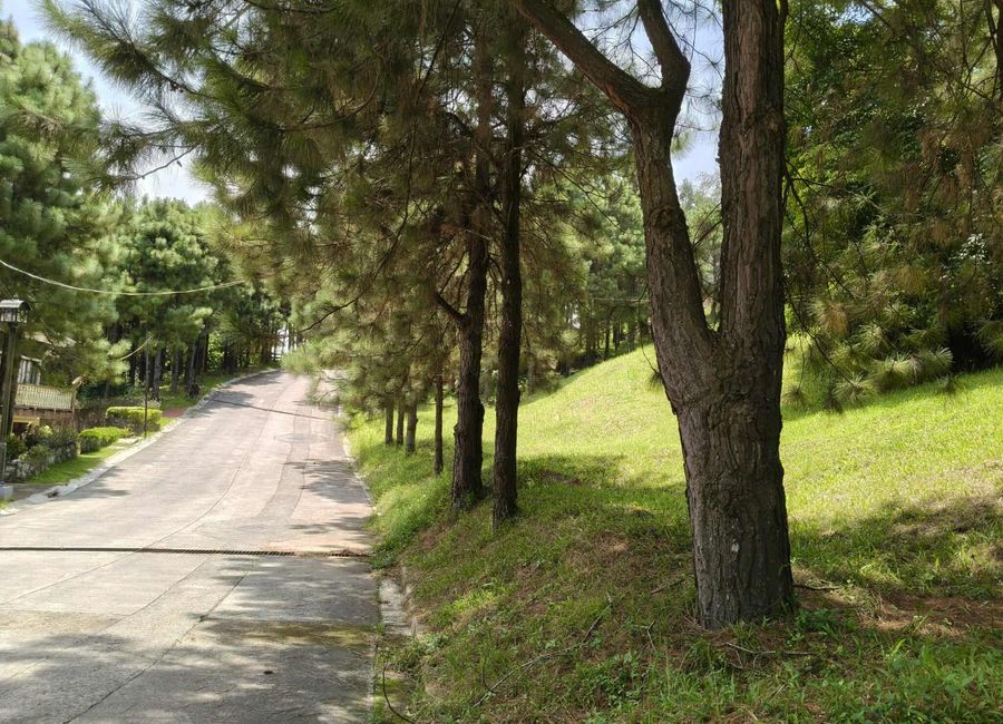 Crosswinds, Iruhin West, Iruhin East, Tagaytay, Cavite image 3