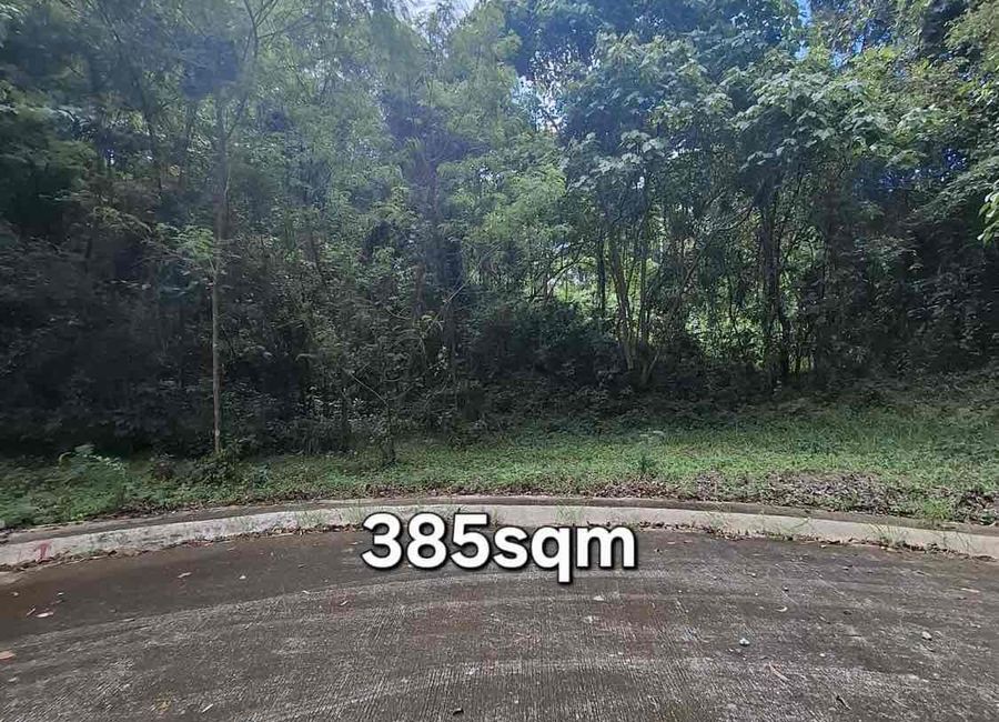 Forest Hills Avenue, Langhaya, Dela Paz, Antipolo, Rizal image 3