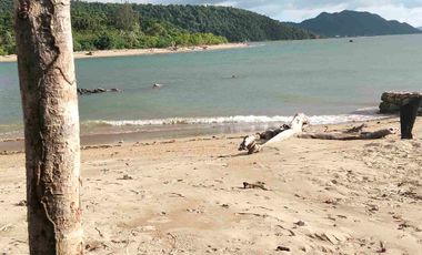 Beachfront Busuanga Palawan