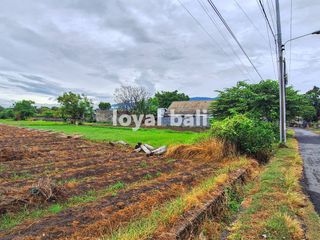2.000m2 Excellent Land in Popular Area in Buleleng, Bali