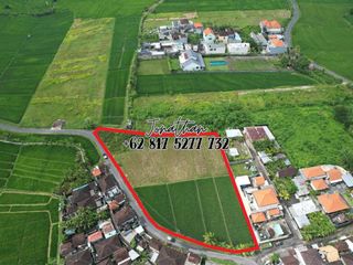 Disewakan Tanah Zona Kuning di Kaba Kaba Tabanan (minimal ambil 10 are) - LLWY