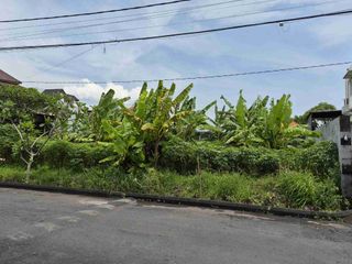 Tanah Badak Agung Renon Denpasar Bali