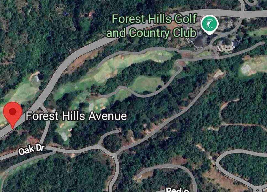 Forest Hills Avenue, Inarawan, Antipolo, Rizal image 2