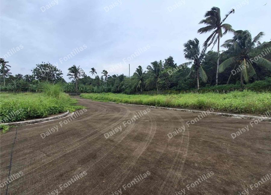 place photo 10