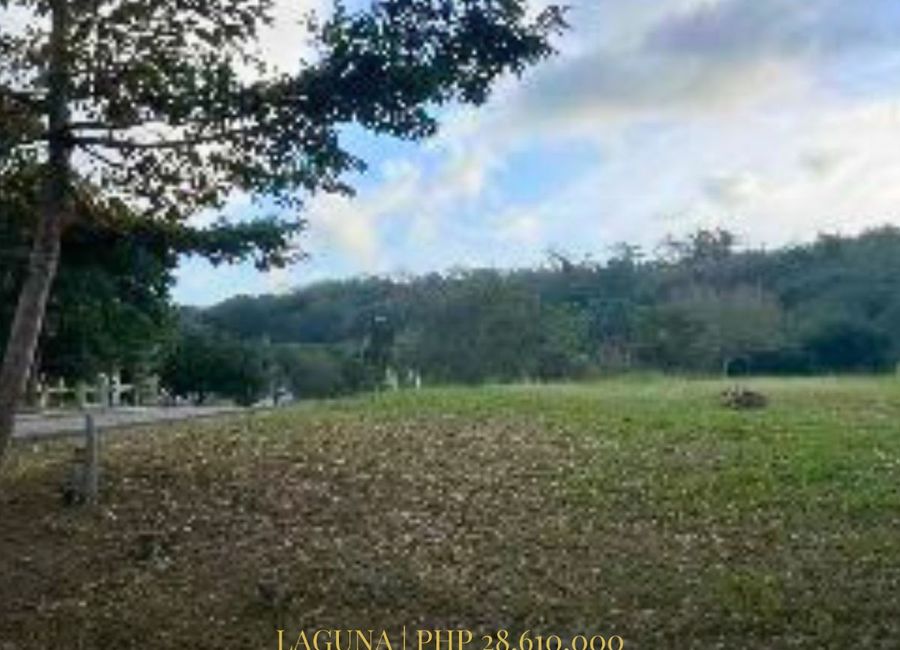 Spine Road, Ayala Greenfield Estates, Maunong, Calamba, Laguna